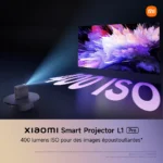 Vidéoprojecteur 500 euros ecran