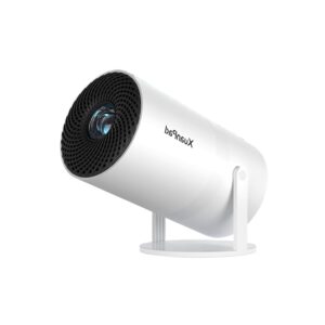 Vidéoprojecteur Petit Salon