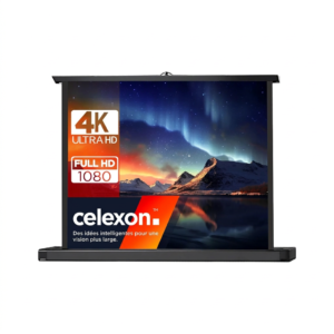 Écran de Projection Professionnel